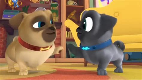 Watch Puppy Dog Pals Season 2 Episode 13 .